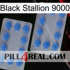 Black Stallion 9000 20